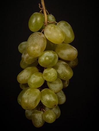 新鮮葡萄水果手機壁紙