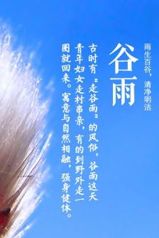 Traditional solar term Guyu mobile wallpaper pictures