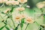 January 2022 fresh flowers calendar wallpaper