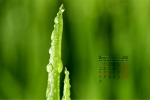 February 2022 Fresh Eye Care Calendar Wallpaper