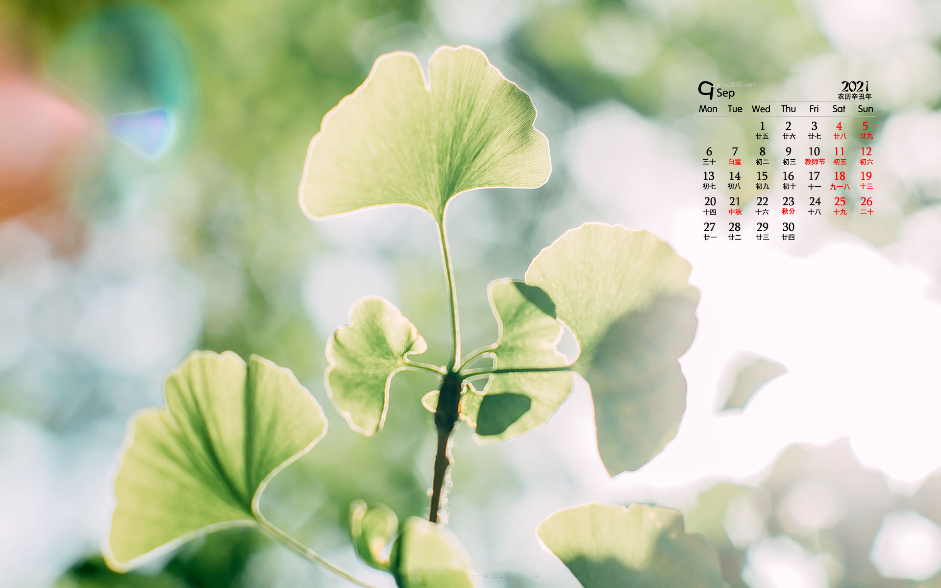 2021年9月小清新绿色花卉电脑日历壁纸