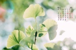 2021年9月小清新绿色花卉电脑日历壁纸