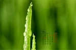 March 2022 eye-protecting green landscape desktop calendar wallpaper