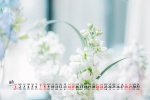 Elegant and fresh desktop calendar wallpaper for August 2021