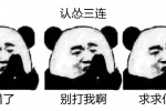 认怂三连：我错了！别打我！求求你了！