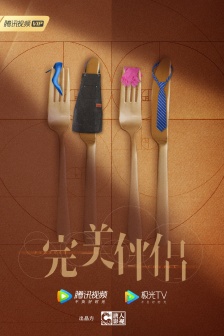 电视剧《完美伴侣》海报图片