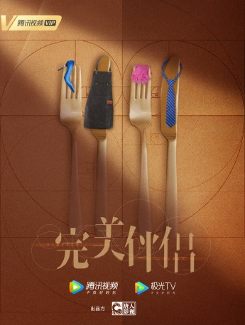 电视剧《完美伴侣》海报图片