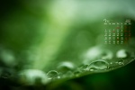 July 2021 emerald green leaves water drops desktop calendar wallpaper