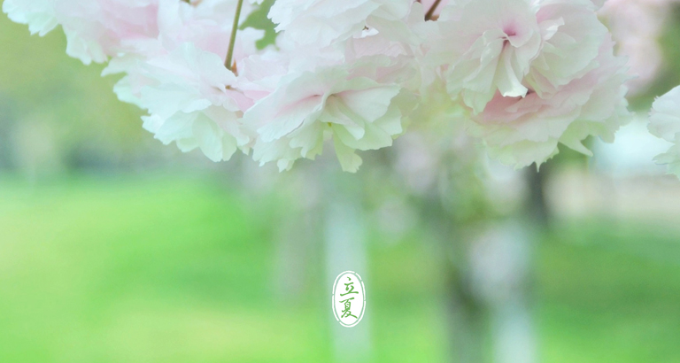 立夏桌麵壁紙