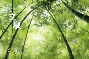 24th solar term Beginning of Summer fresh green desktop wallpaper