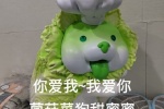 你爱我 我爱你 菌菇菜狗甜蜜蜜