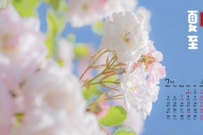 July 2021 Summer Solstice Desktop Calendar Wallpaper