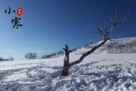 Solar term Xiaohan snow scene picture desktop wallpaper