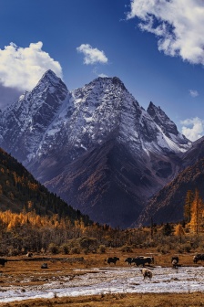 Beautiful mountain scenery under the clouds mobile wallpaper