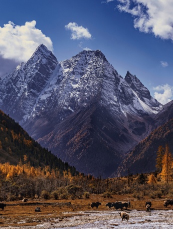Beautiful mountain scenery under the clouds mobile wallpaper