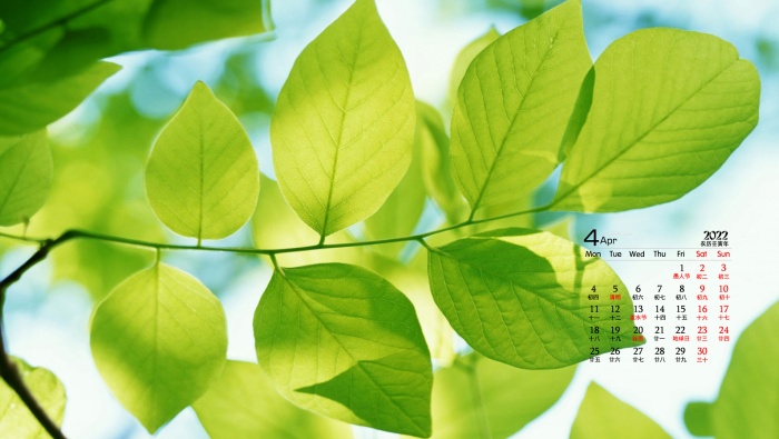 Eye-protecting green leaves HD calendar wallpaper for April 2022