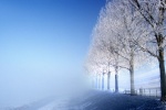Solar term light snow mountain top beautiful snow scene picture desktop wallpaper