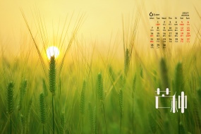 2021年6月芒種桌麵日曆壁紙圖片
