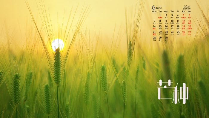 2021年6月芒种桌面日历壁纸图片