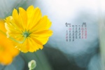 2021年6月黄色小花朵唯美桌面日历壁纸