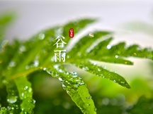谷雨