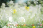 2021年10月好看花朵清新日历壁纸