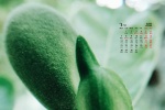 2022年3月护眼绿色电脑日历壁纸