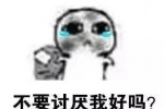 不要讨厌我好吗？