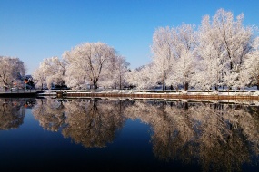 小雪节气之雪花美景图片壁纸