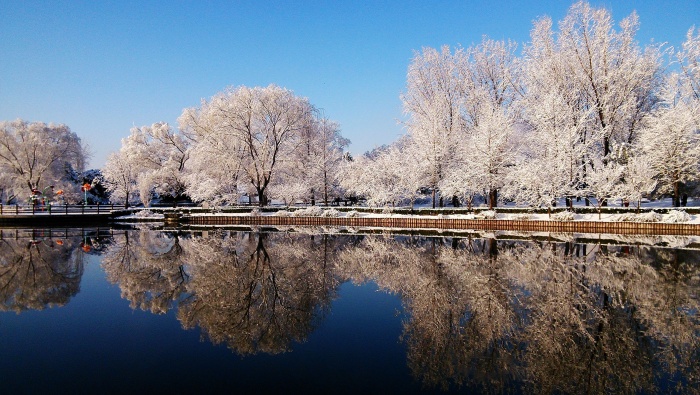 Light snow solar term snowflakes beautiful pictures wallpaper