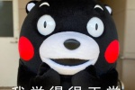 熊本熊我觉得很正常表情包