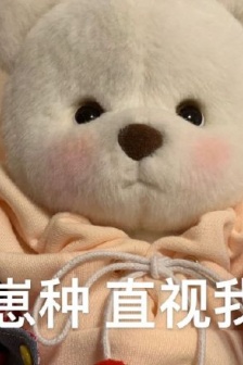 莉娜熊表情包總結