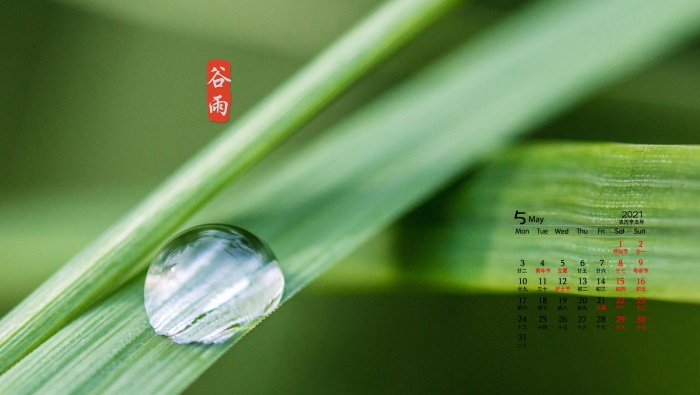 May 2021 fresh and eye-protecting Grain Rain solar term desktop calendar wallpaper