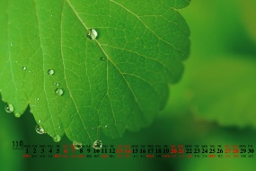 November 2021 Desktop Calendar Wallpaper Picture