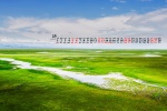 2022年2月綠色自然風景桌麵日曆壁紙