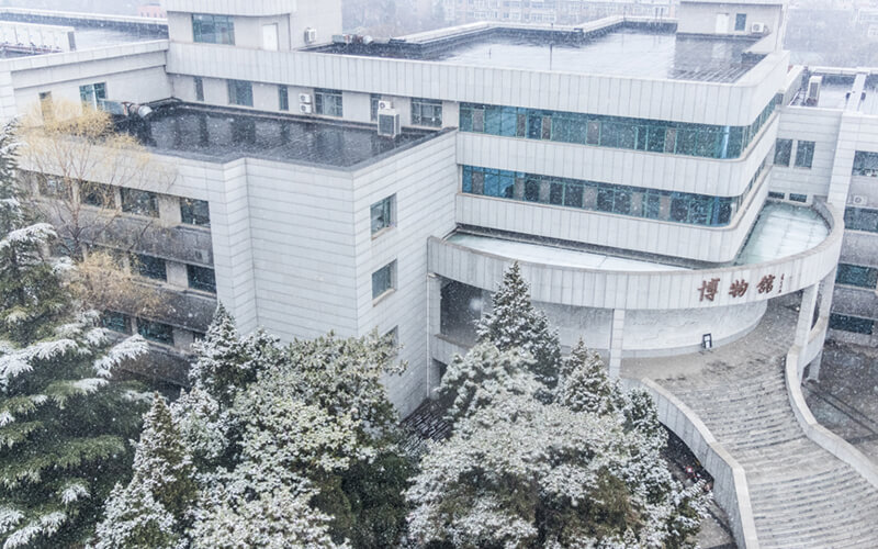 中国人民大学校园风景图片