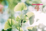 2022年4月日历壁纸