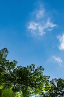 Same sky, different scenery mobile wallpaper