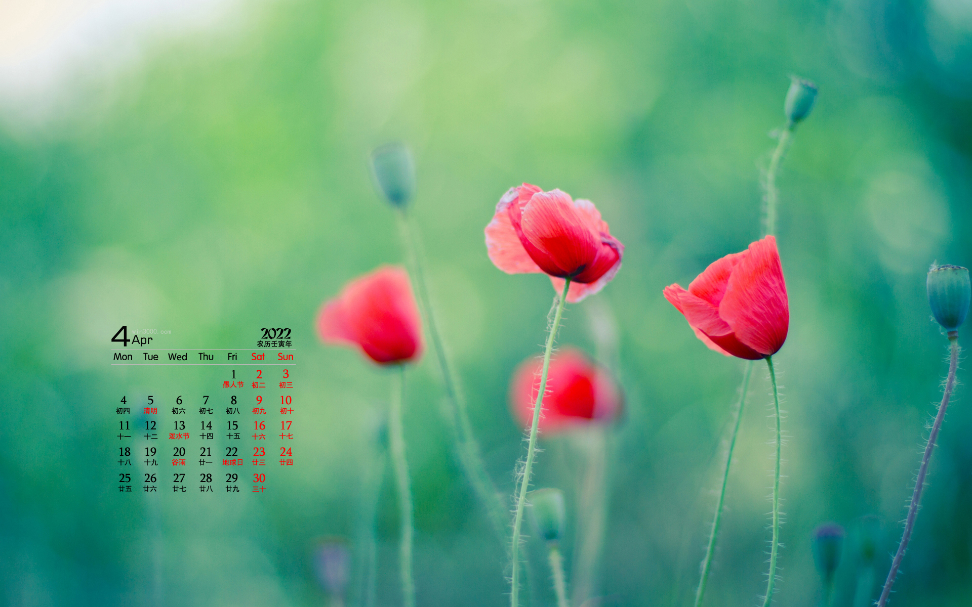 2022年4月花卉植物桌面日历壁纸