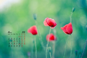 April 2022 Flowers and Plants Desktop Calendar Wallpaper