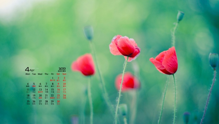 April 2022 Flowers and Plants Desktop Calendar Wallpaper