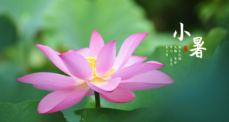 Xiaoshu desktop wallpaper