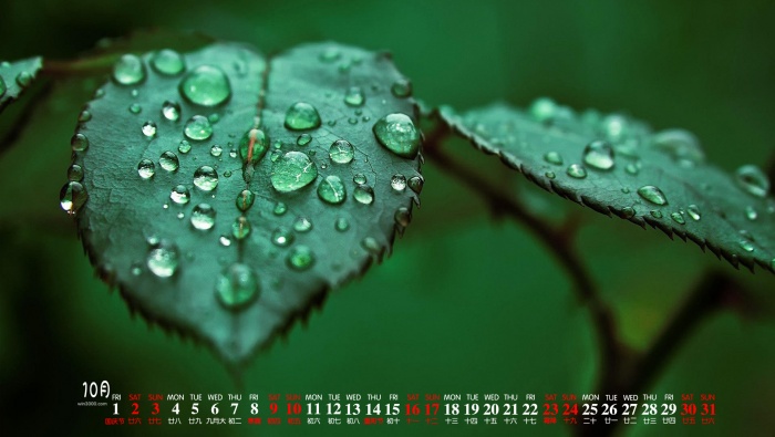 2021年10月高清護眼桌麵日曆壁紙