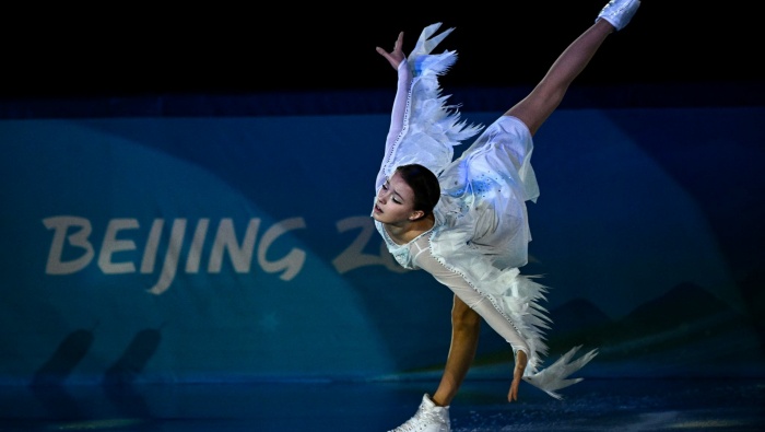 Shcherbakova swan shape computer wallpaper