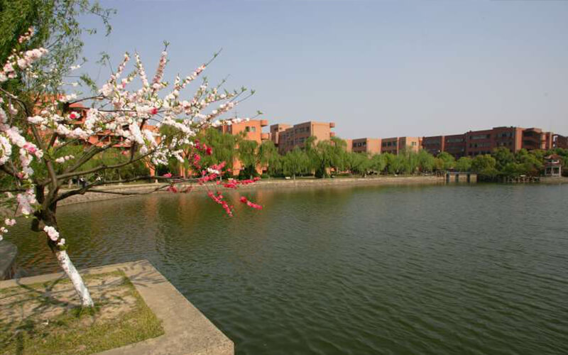 上海交通大学校园风景图片