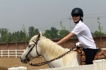Gu Ailing's handsome photos on horseback
