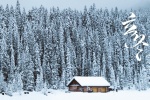 傳統節氣之立冬雪景圖片桌麵壁紙
