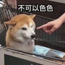 可以色色表情包