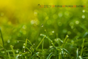 April 2022 dewdrops on grass tips calendar wallpaper