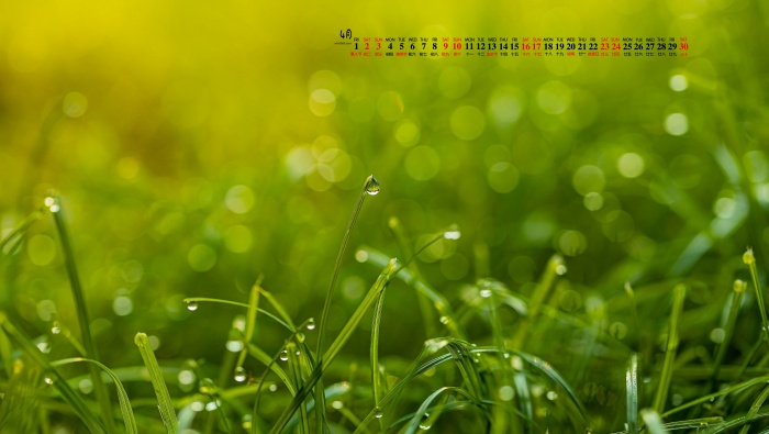 April 2022 dewdrops on grass tips calendar wallpaper